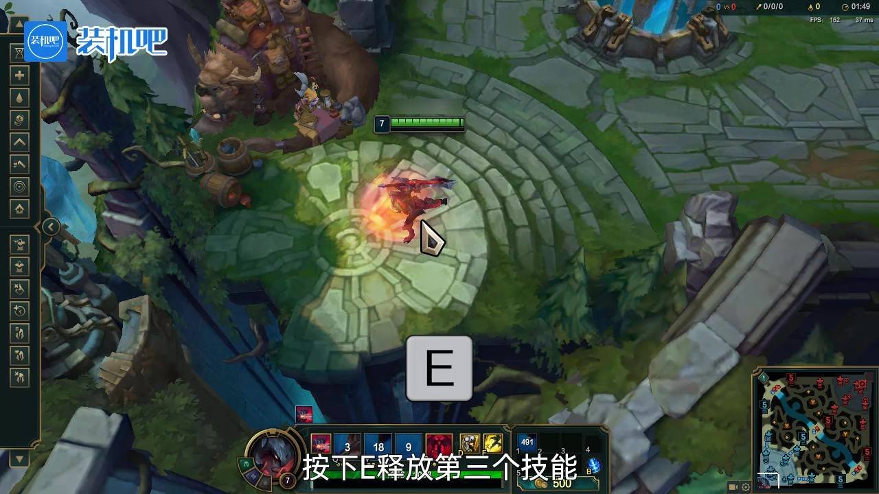 森林 年度版 截图21